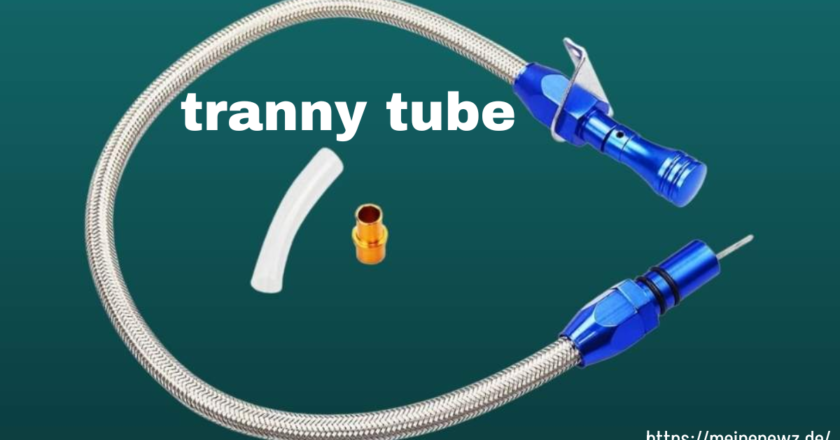 Was Ist Ein Tranny Tube? Alles, Was Du Wissen Solltest!