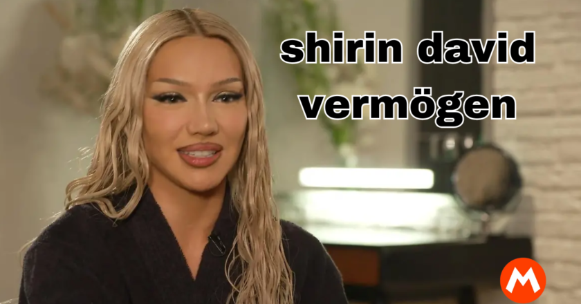 Wie hoch ist das Shirin David Vermögen?